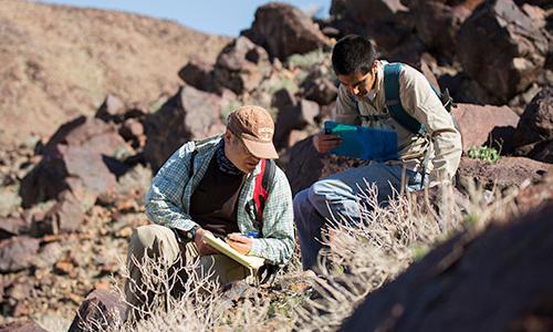 教授和学生正在研究沙漠中的植物群